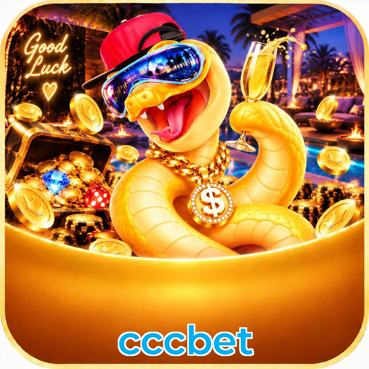 cccbet Bet Odds Analysis